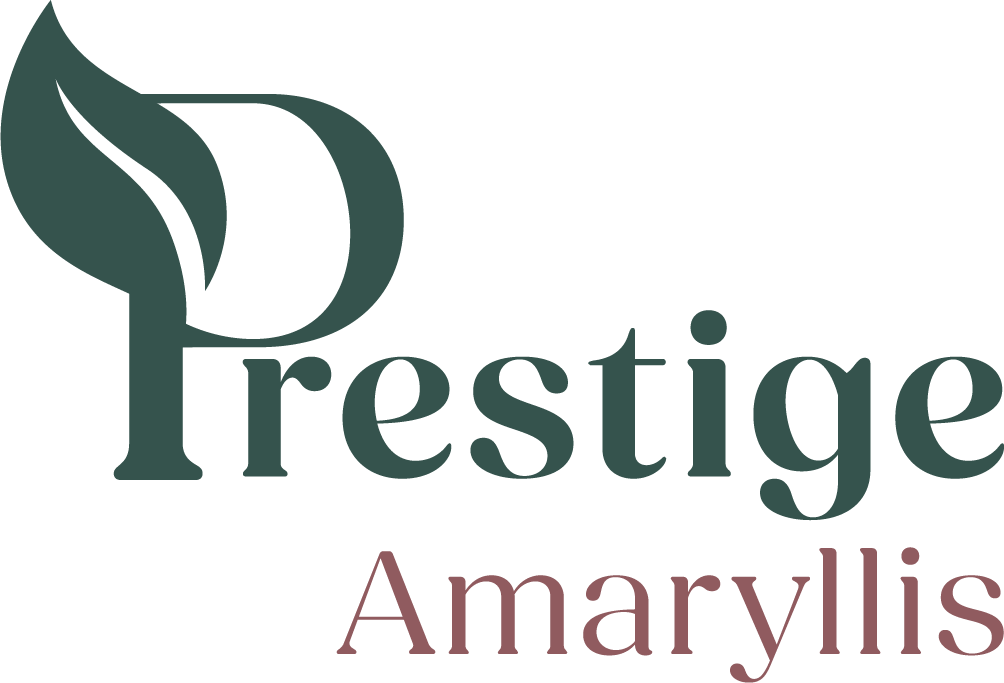 Prestige Amaryllis