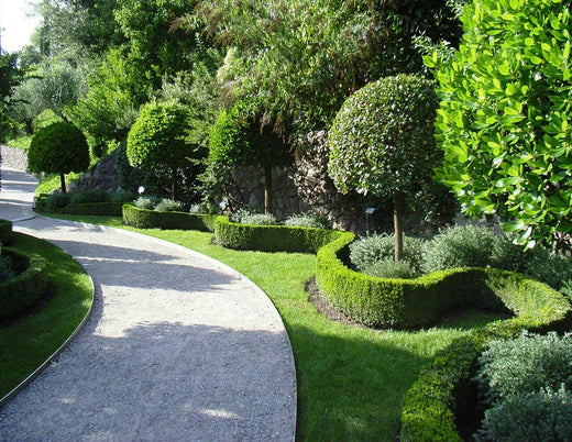 Comment avoir un jardin fleuri toute l’année ? Image