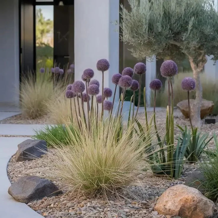 Quand planter les vivaces ? Image