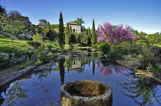 Plantes vivaces pour massif Image