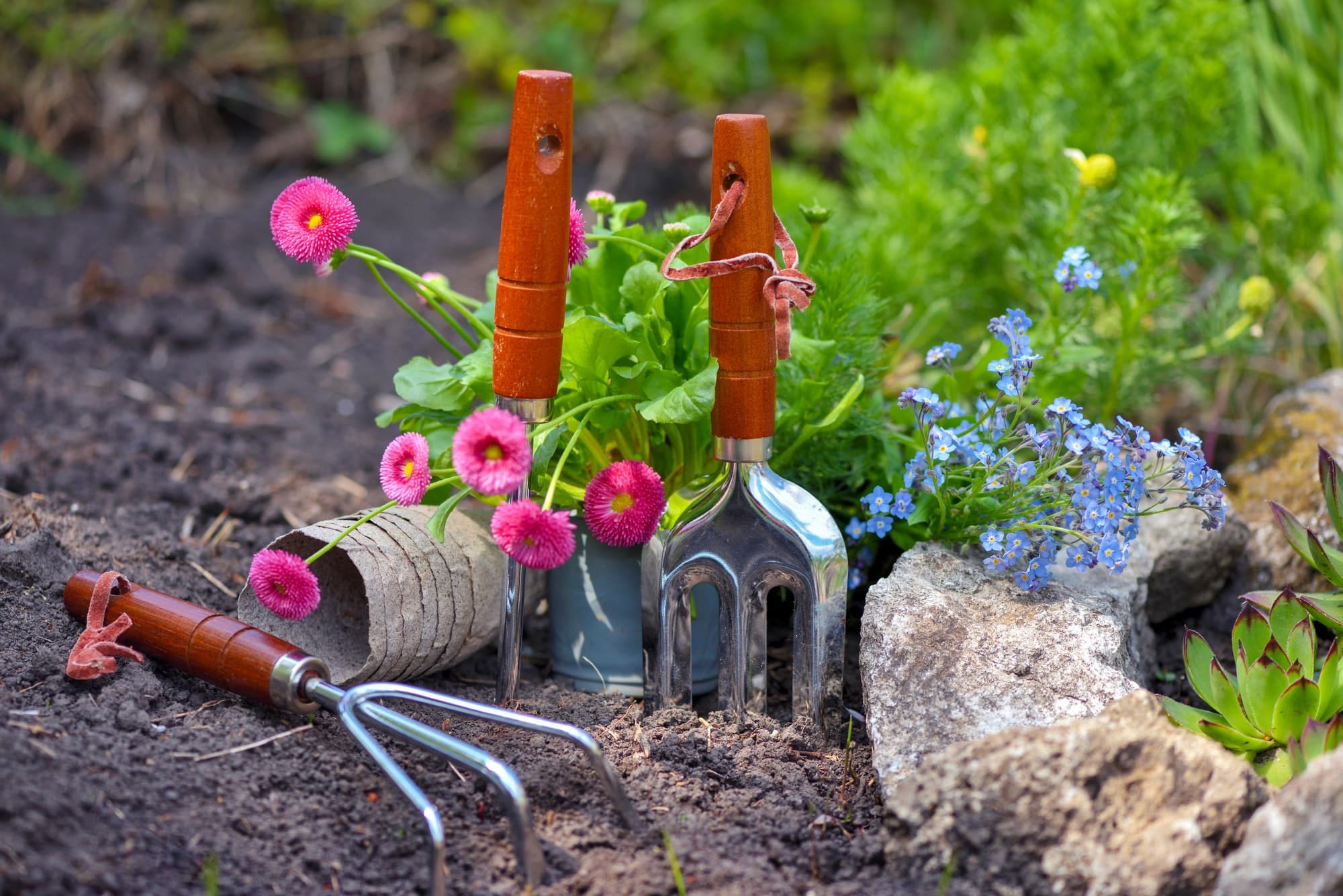 Accessoires de jardin Image