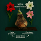 Amaryllis Rose