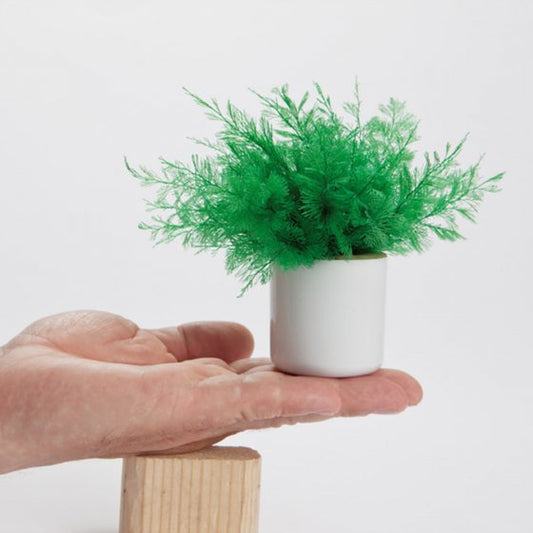 Anti-moustique plante Neptune