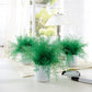 Anti-moustique plante Neptune